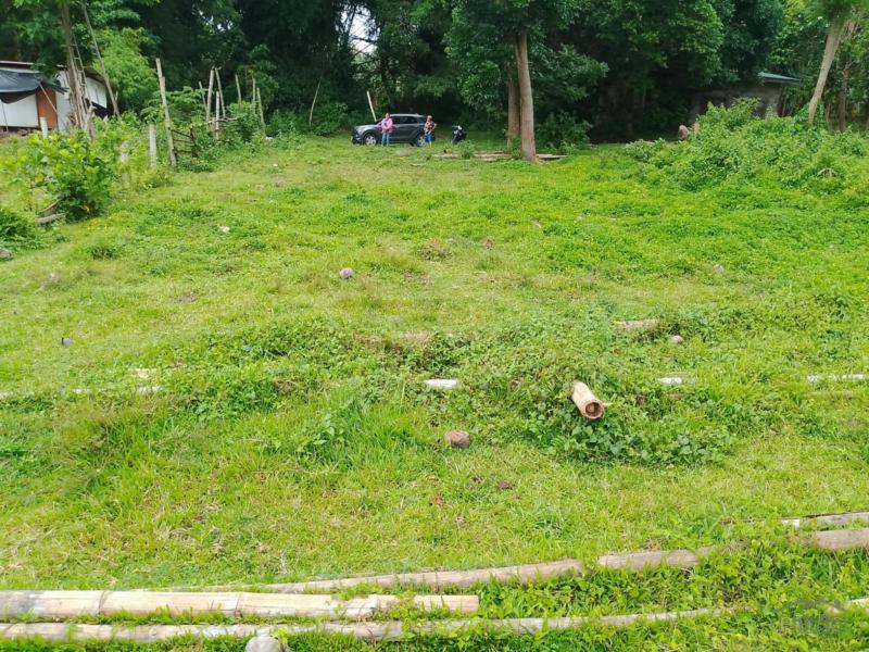 Picture of Other lots for sale in Valencia in Negros Oriental