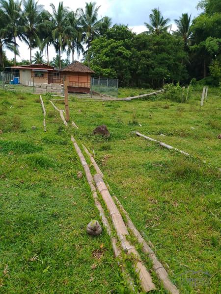 Picture of Other lots for sale in Valencia in Philippines