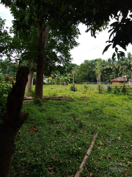 Other lots for sale in Valencia in Negros Oriental - image