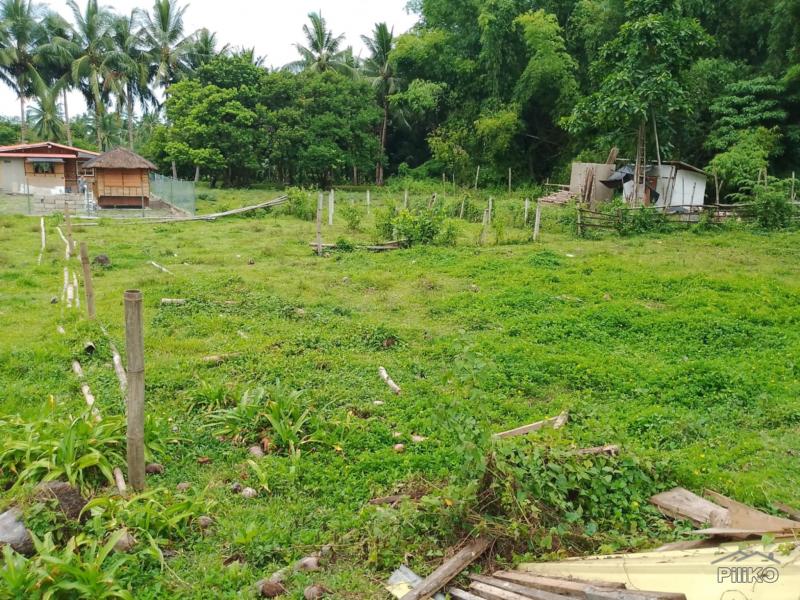 Other lots for sale in Valencia in Philippines - image