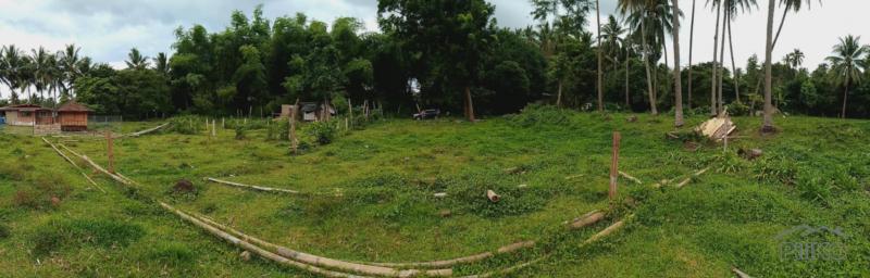 Other lots for sale in Valencia - image 9