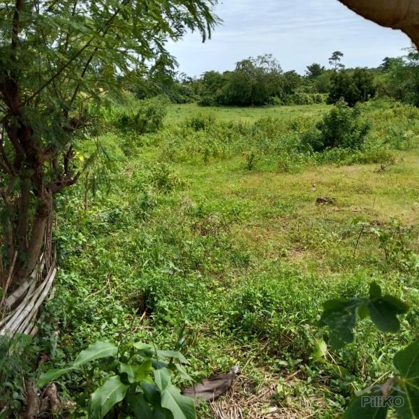 Residential Lot for sale in San Juan