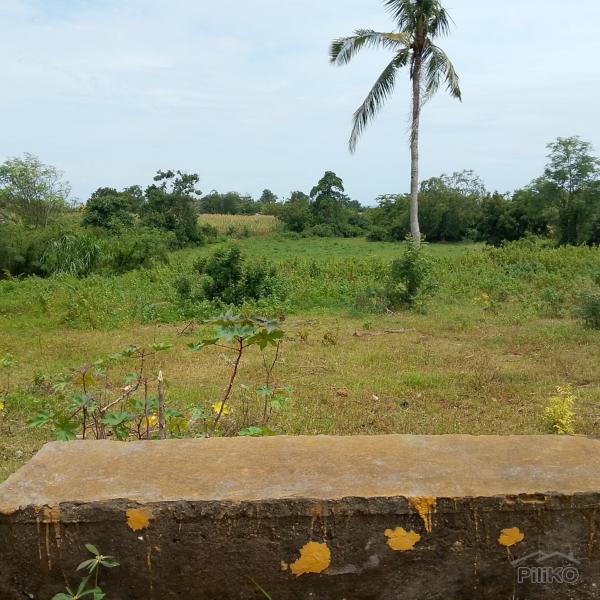 Residential Lot for sale in San Juan in Siquijor