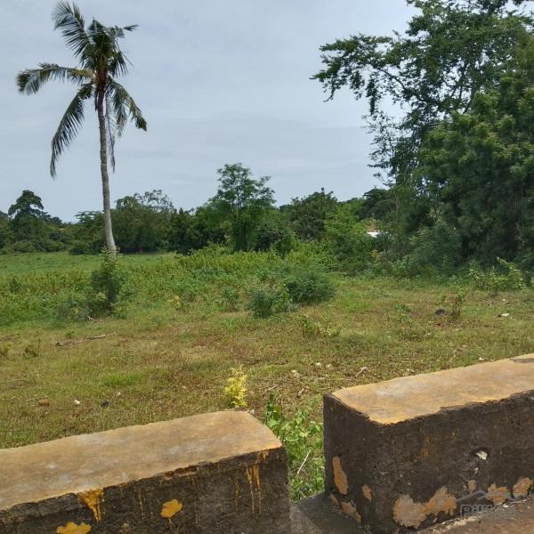 Residential Lot for sale in San Juan in Philippines