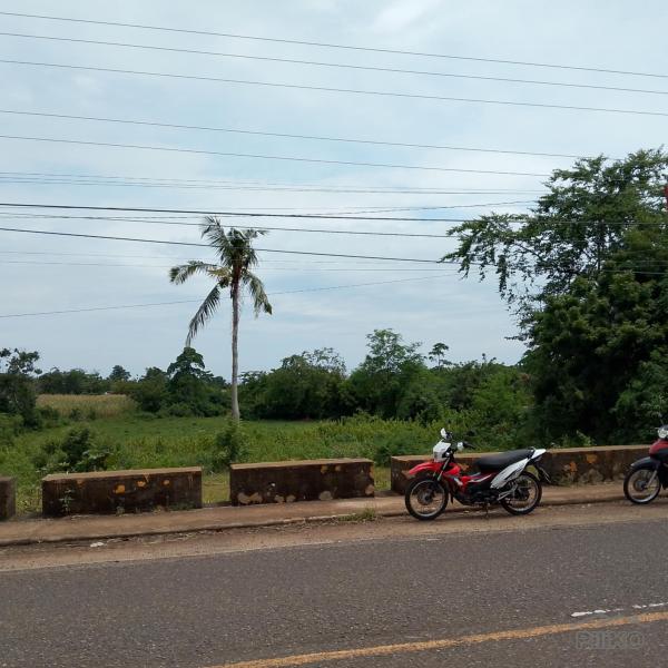 Picture of Residential Lot for sale in San Juan in Siquijor