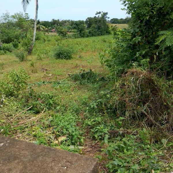 Picture of Residential Lot for sale in San Juan in Philippines
