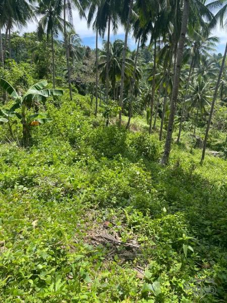 Land and Farm for sale in Sibulan