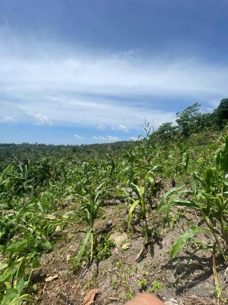 Land and Farm for sale in Sibulan in Negros Oriental
