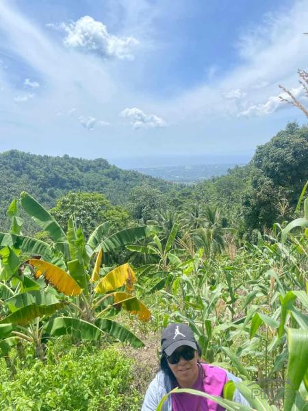 Land and Farm for sale in Sibulan in Philippines
