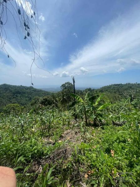 Picture of Land and Farm for sale in Sibulan in Philippines