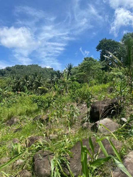 Land and Farm for sale in Sibulan in Negros Oriental - image