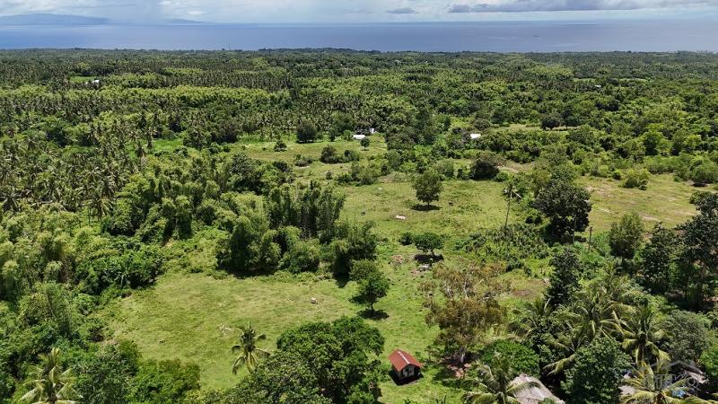 Residential Lot for sale in Dauin