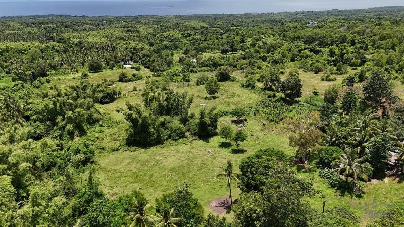 Residential Lot for sale in Dauin in Philippines