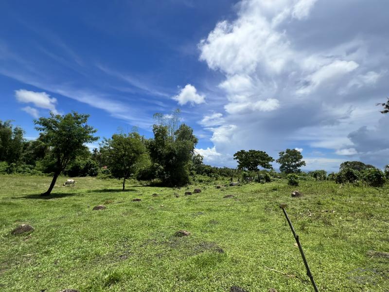 Picture of Residential Lot for sale in Dauin in Negros Oriental