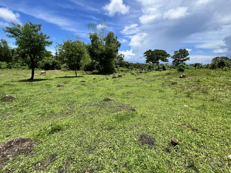 Picture of Residential Lot for sale in Dauin in Philippines