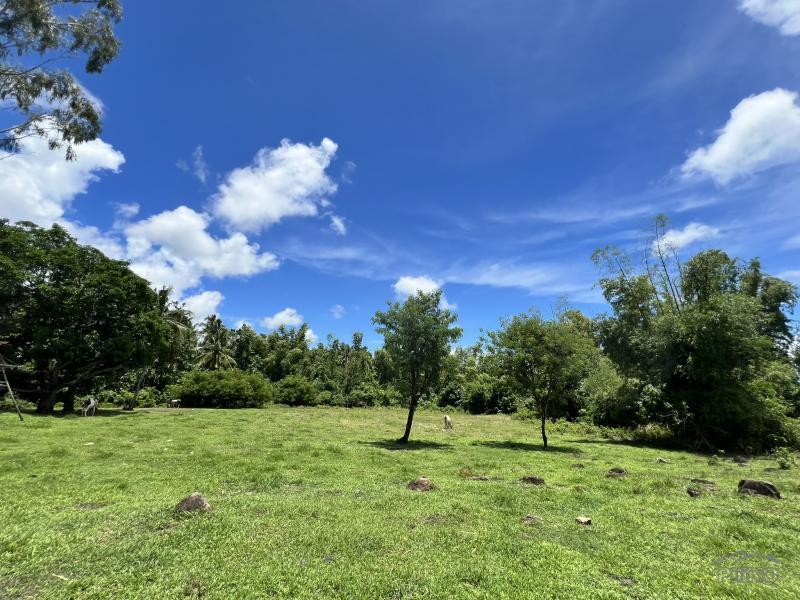 Residential Lot for sale in Dauin in Negros Oriental - image