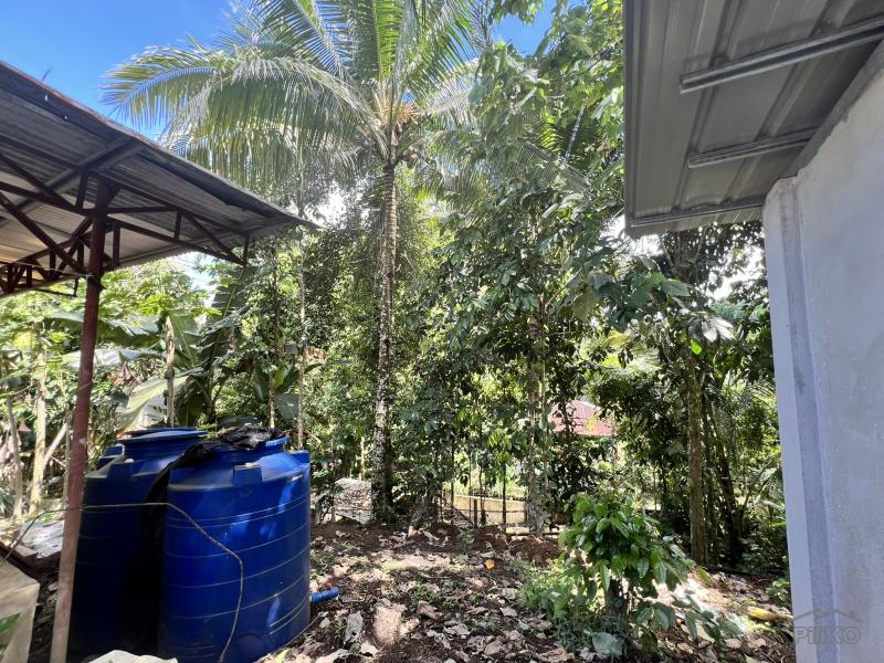 2 bedroom House and Lot for sale in Valencia - image 12