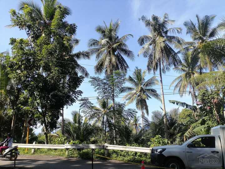 Residential Lot for sale in Lazi - image 10