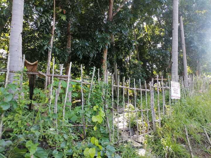Residential Lot for sale in Lazi - image 11