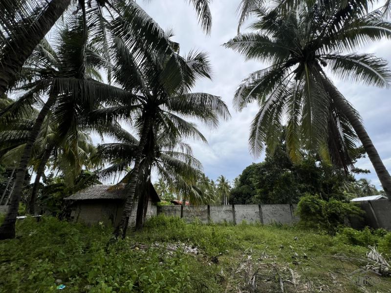 Residential Lot for sale in Zamboanguita - image 10