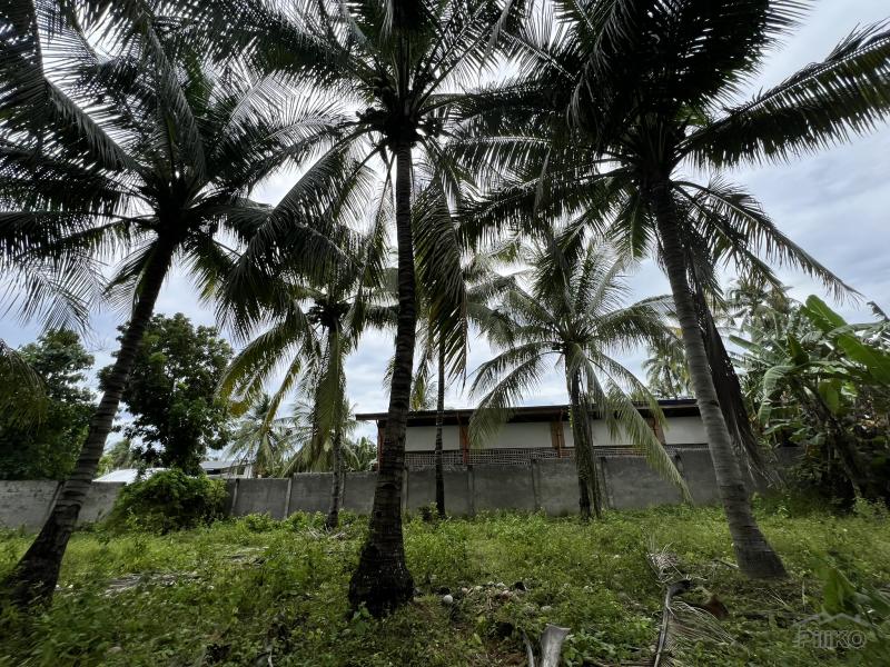 Residential Lot for sale in Zamboanguita - image 11
