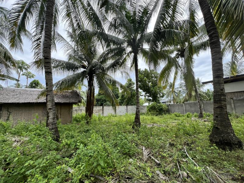 Residential Lot for sale in Zamboanguita - image 12