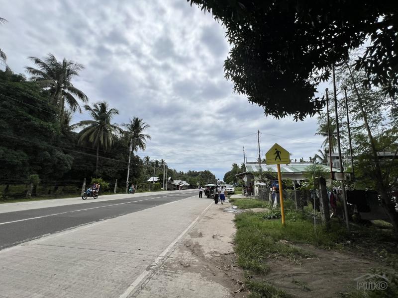 Residential Lot for sale in Zamboanguita - image 13