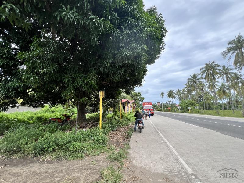 Residential Lot for sale in Zamboanguita - image 14