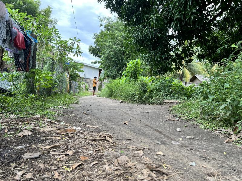 Residential Lot for sale in Zamboanguita - image 15