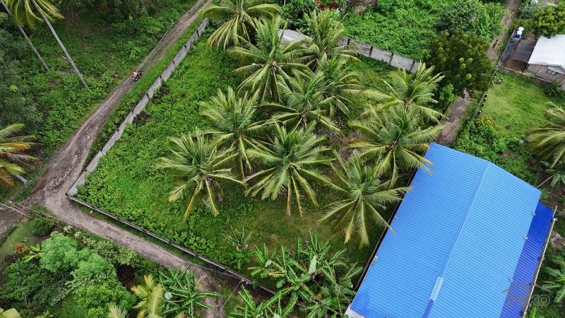 Picture of Residential Lot for sale in Zamboanguita