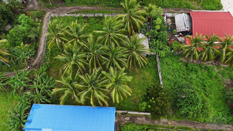 Residential Lot for sale in Zamboanguita