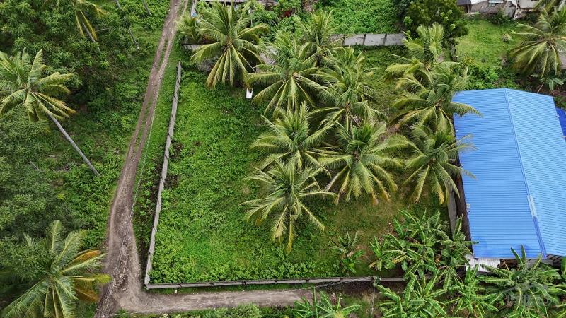 Residential Lot for sale in Zamboanguita in Negros Oriental