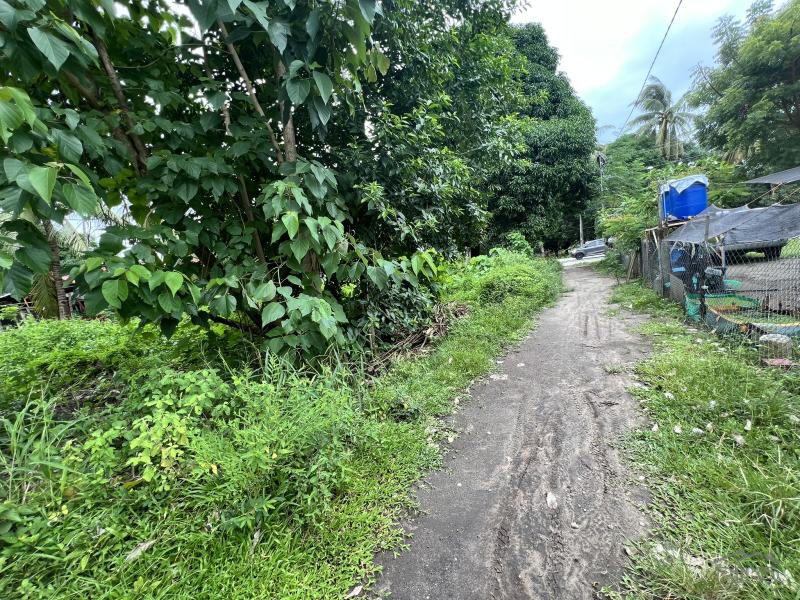 Picture of Residential Lot for sale in Zamboanguita in Negros Oriental