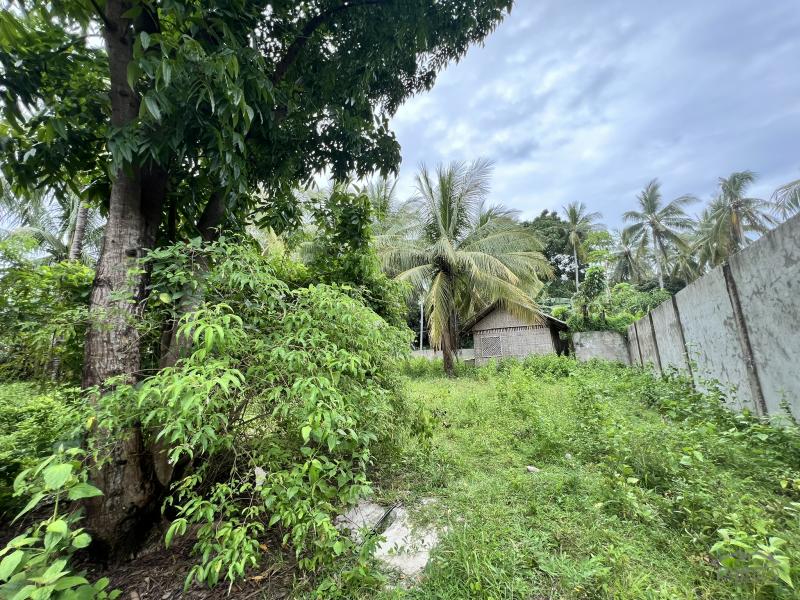 Residential Lot for sale in Zamboanguita in Negros Oriental - image