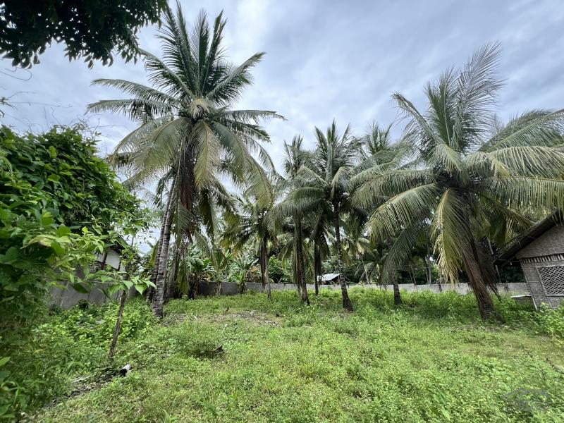 Residential Lot for sale in Zamboanguita in Philippines - image