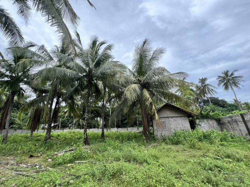 Residential Lot for sale in Zamboanguita - image 9