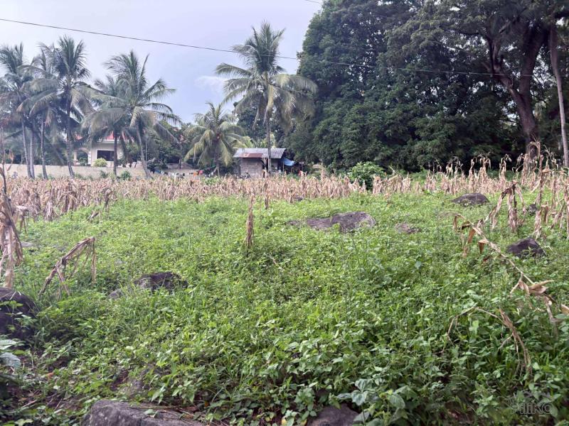 Residential Lot for sale in Valencia in Negros Oriental