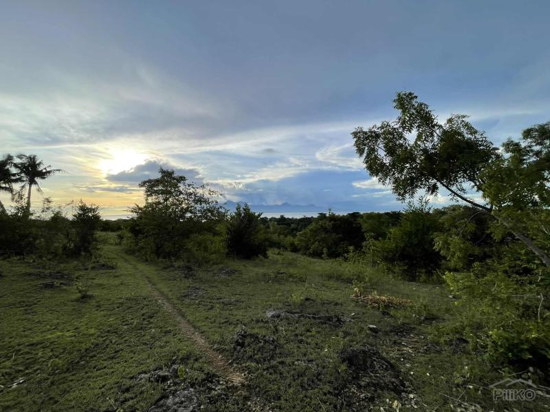 Residential Lot for sale in San Juan - image 10