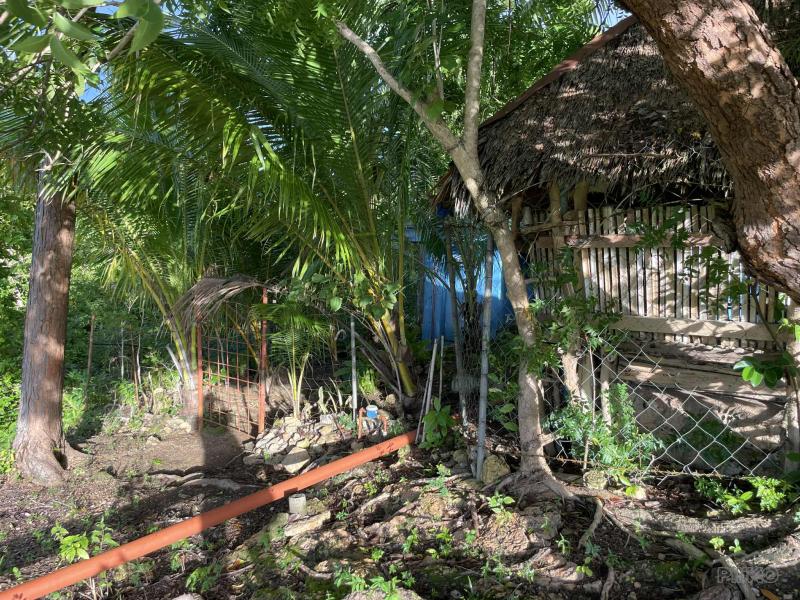 Residential Lot for sale in San Juan - image 11