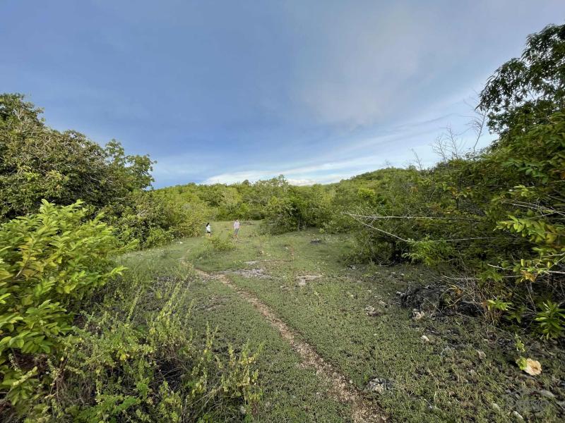 Residential Lot for sale in San Juan - image 13