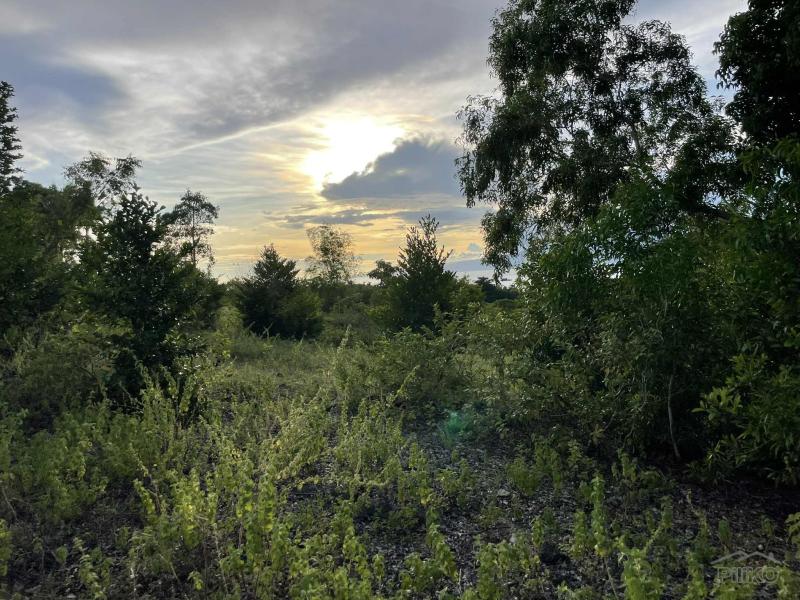 Residential Lot for sale in San Juan - image 3