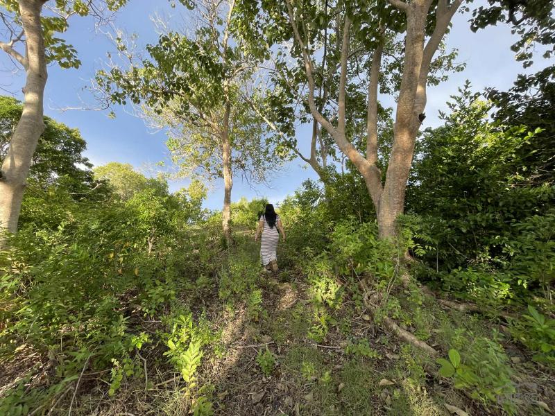 Residential Lot for sale in San Juan - image 4