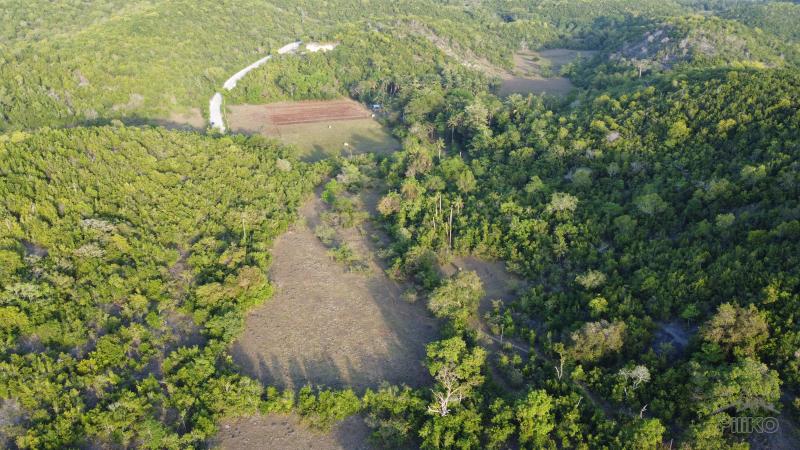 Residential Lot for sale in San Juan - image 5