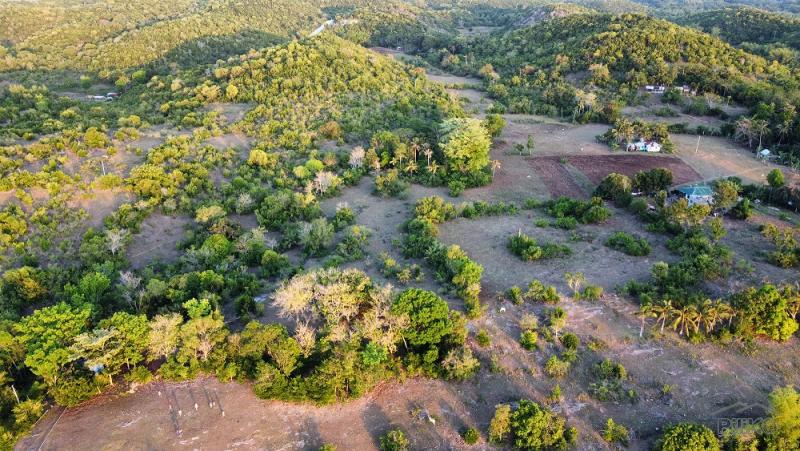 Residential Lot for sale in San Juan - image 6