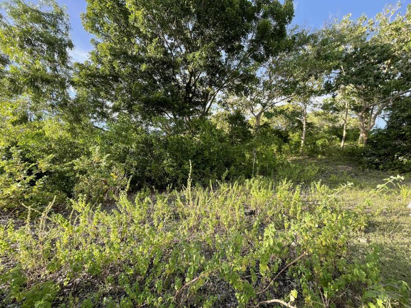 Residential Lot for sale in San Juan - image 7