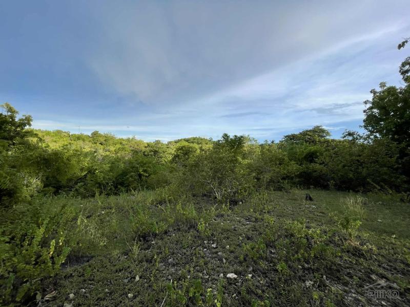 Residential Lot for sale in San Juan - image 9
