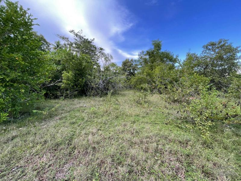 Residential Lot for sale in Siquijor - image 10