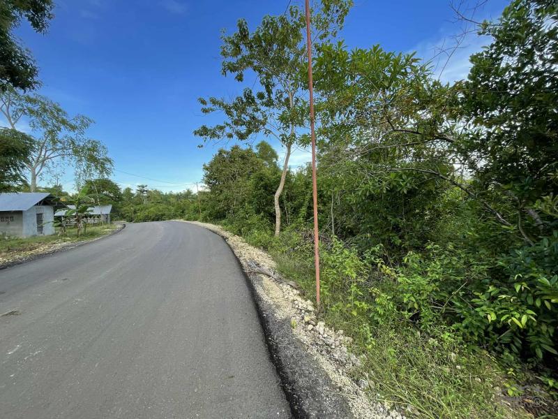 Residential Lot for sale in Siquijor - image 11