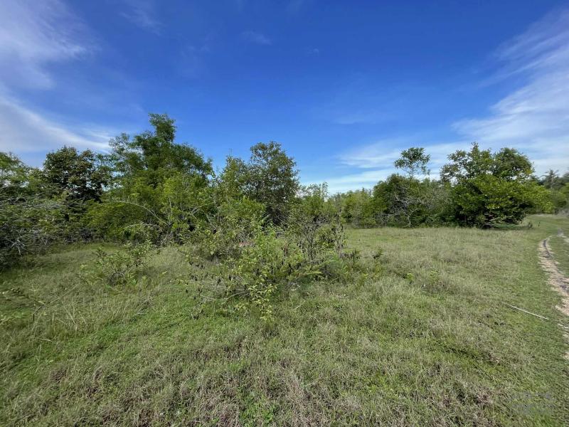 Residential Lot for sale in Siquijor - image 12