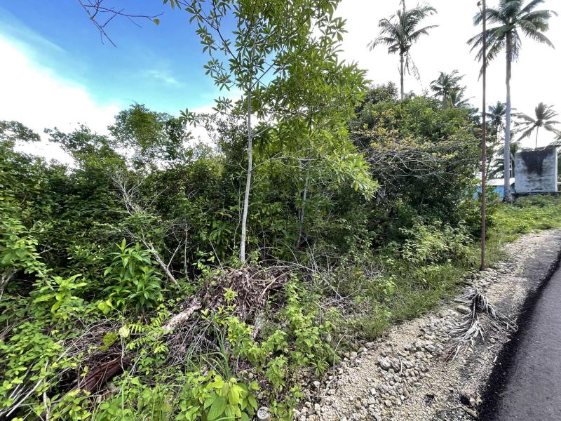 Residential Lot for sale in Siquijor
